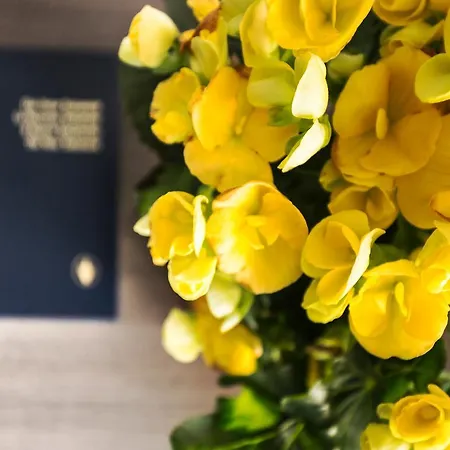 Irlande Hotel Lourdes