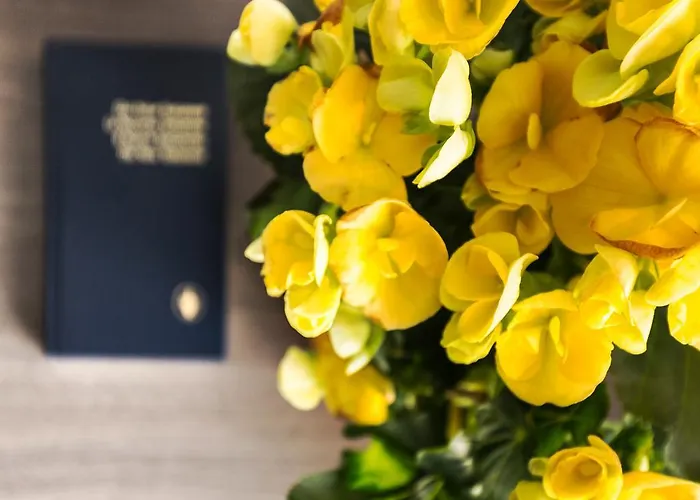 Irlande Hotel Lourdes